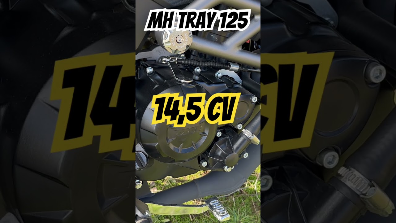 MH TRAY 125 / Specs #Trail