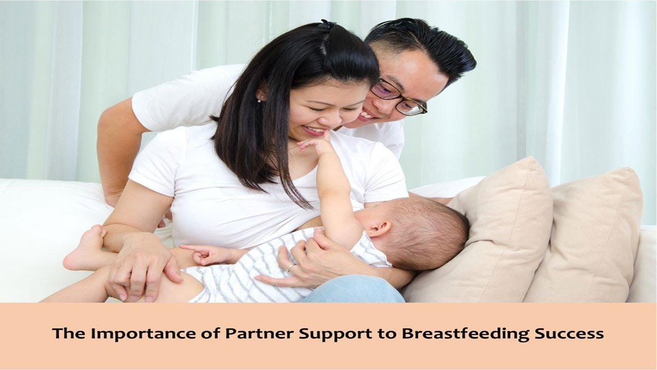 Partner Support during Breastfeeding