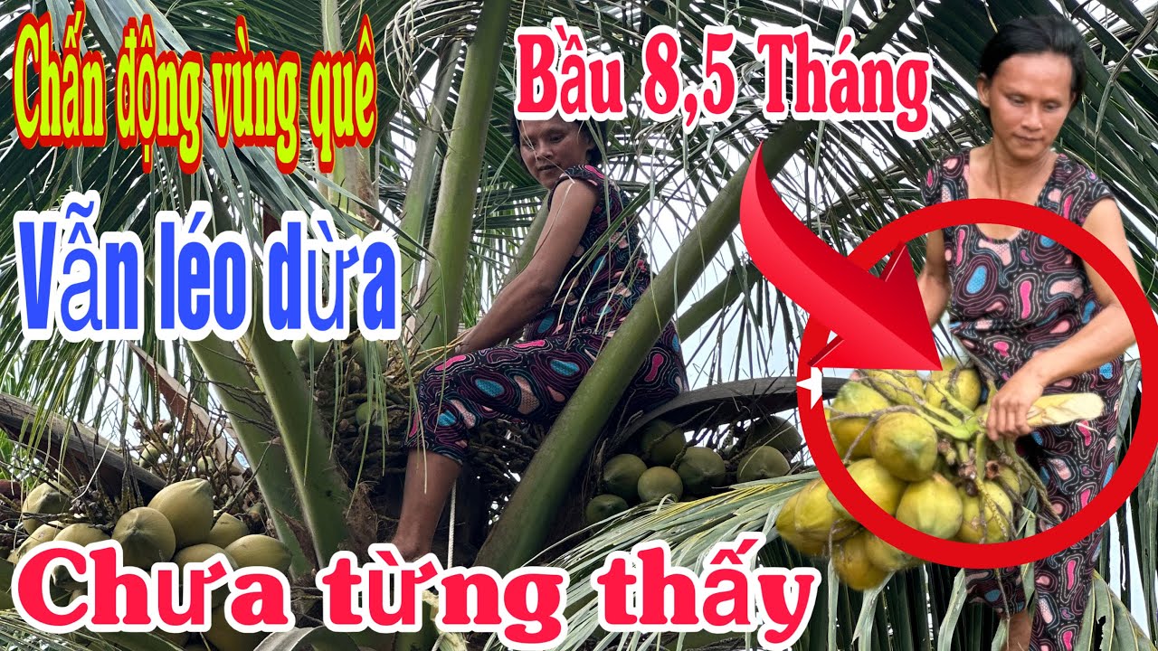 Phát hiện”nể phục người mẹ 5 con”mang thai 8,5 tháng vẫn léo dừa vì miếng cơm manh áo#docla