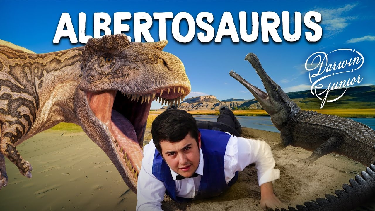 DINOPEDIA S2 #2 - Albertosaurus