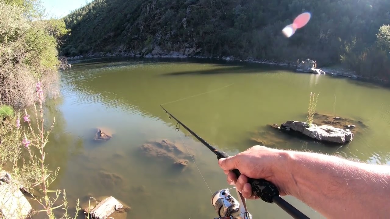 Será que ainda há peixe aqui?