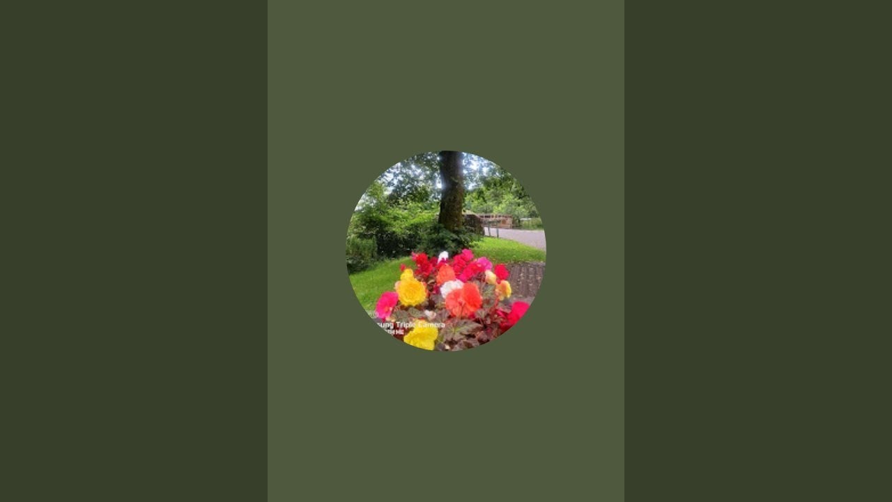 ROSE is live!It's all about  where I live!!!