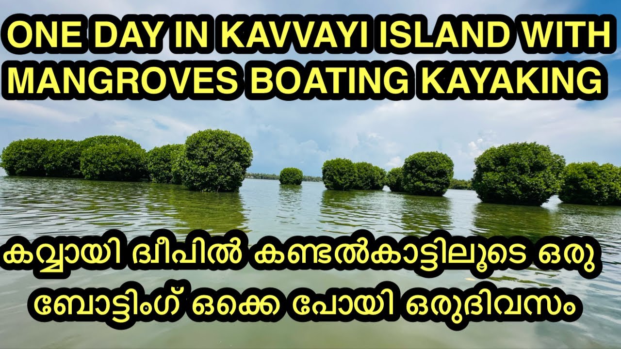 കവ്വായി ദ്വീപിൽ കണ്ടൽകാട്ടിലൂടെ ഒരു ബോട്ടിംഗ് 😍| BOATING INSIDE MANGROVES IN KAVVAYI ISLAND KANNUR