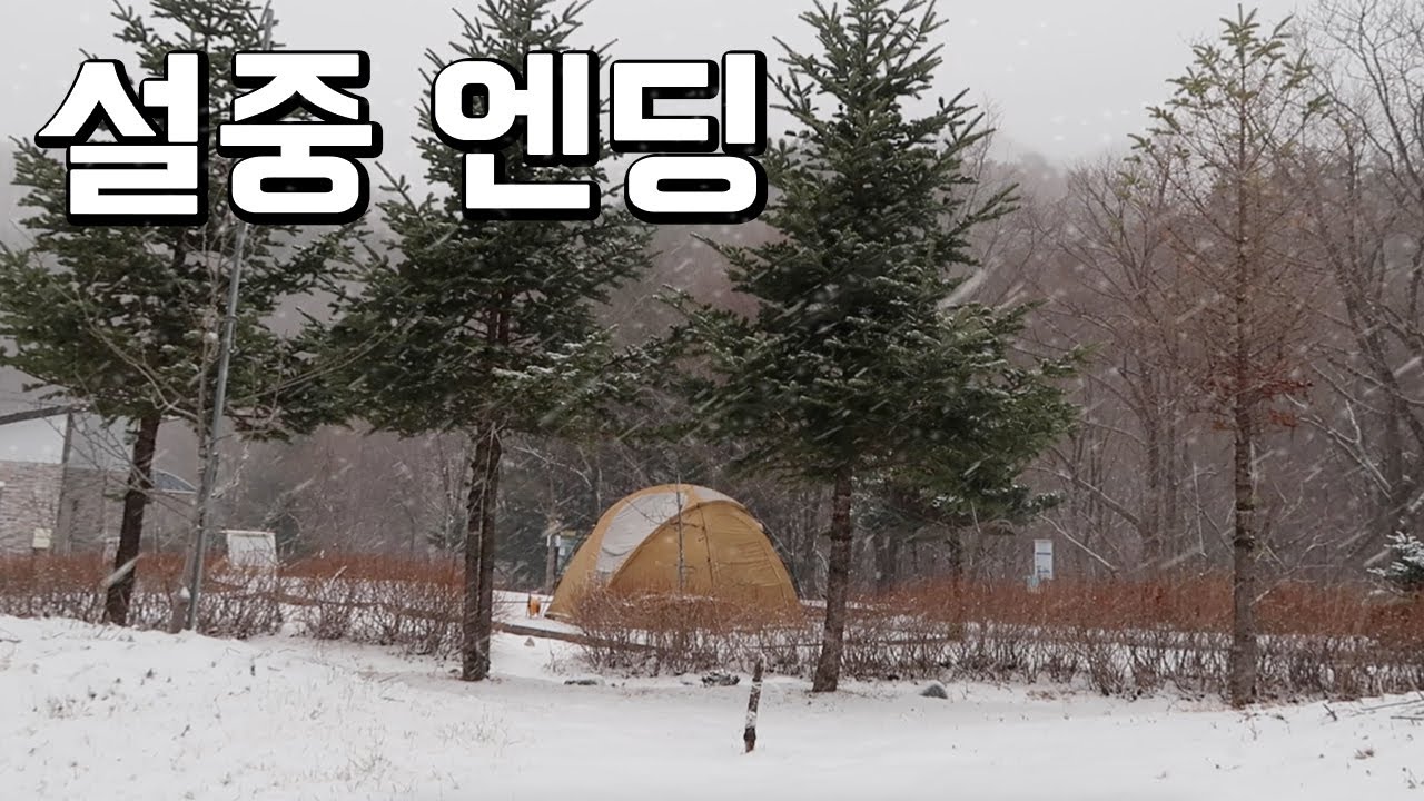 당일 예약 가능 캠핑장, 겨울아 잘가, 걸어서 강릉까지, 이승복 생가