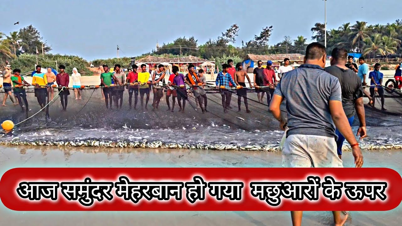 आज तो समुंदर मेहरबान हो गया मछुआरों के ऊपर | AmazingFishing Big Fish Catching at the Beach#fishing 