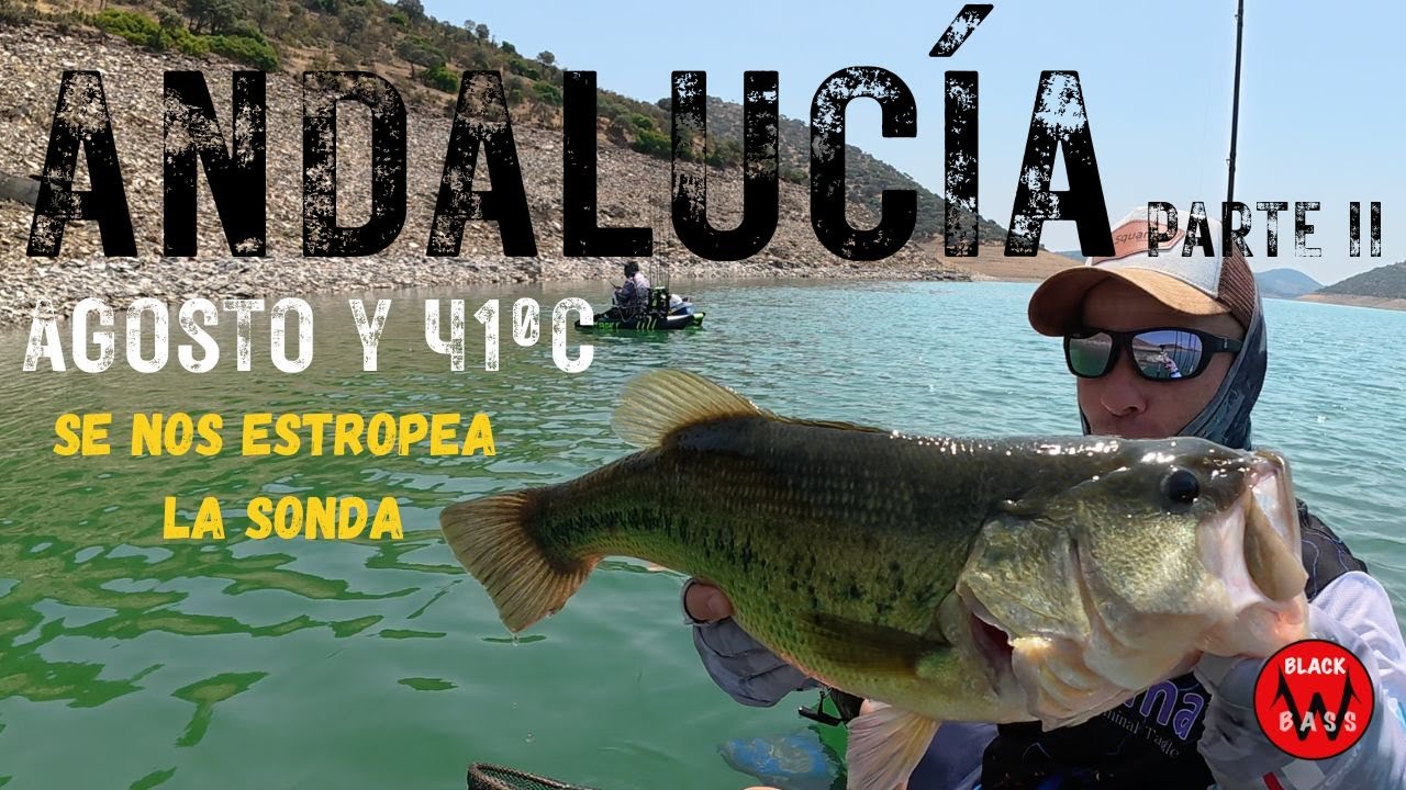 ANDALUCÍA (Parte 2). Nos vamos de  pesca por Andalucía en agosto y se nos estropean las sondas.