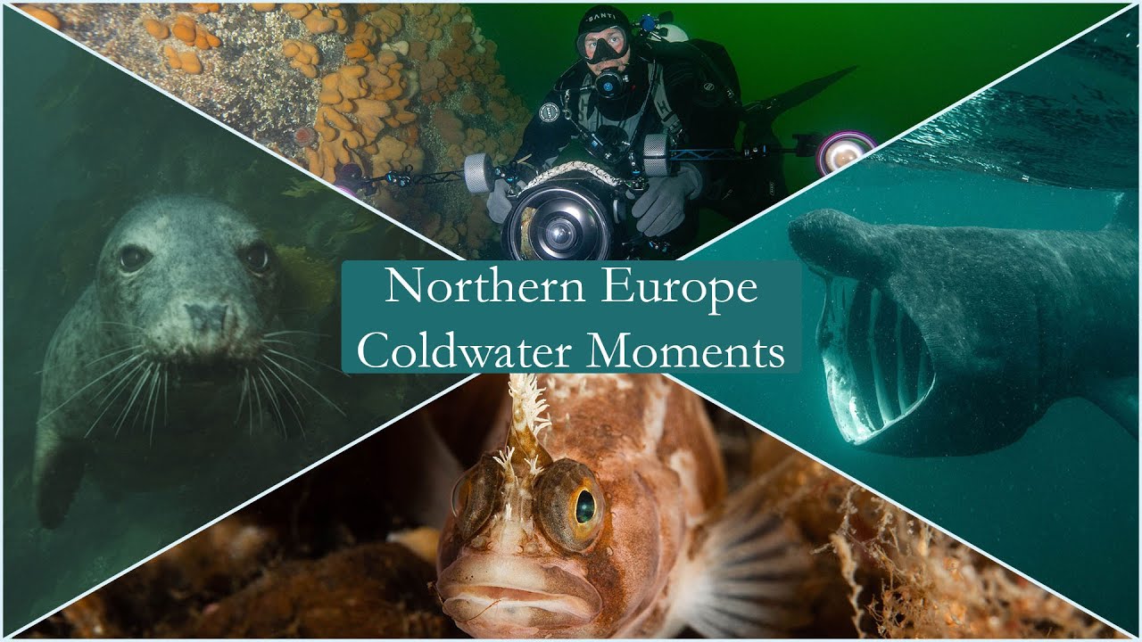 Northern Europe - Coldwater moments