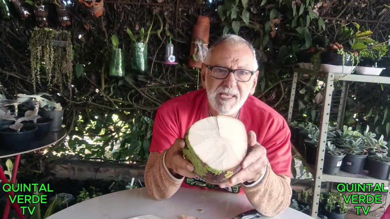 COMO FAZER MUDA FACIL DO CÔCO Vídeo 1428