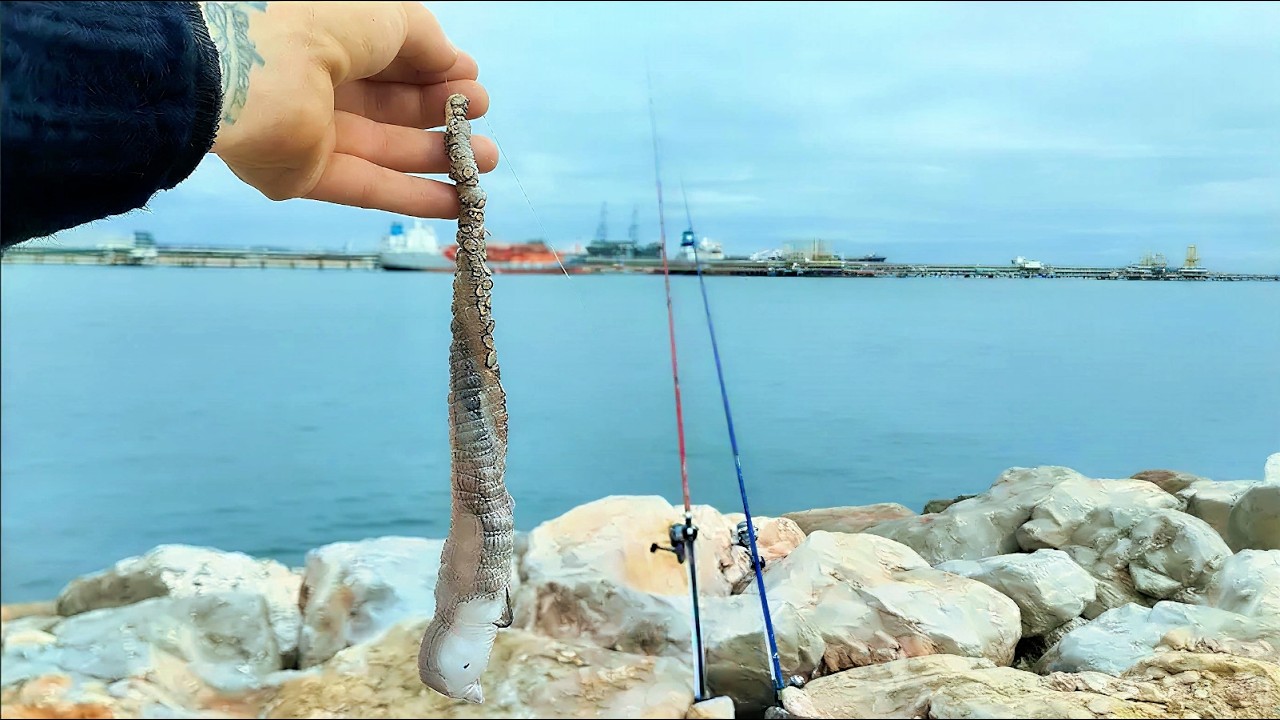 Pesca en Espigon con temporal MUY FUERTE y CEBO de (BRAZO DE PULPO)
