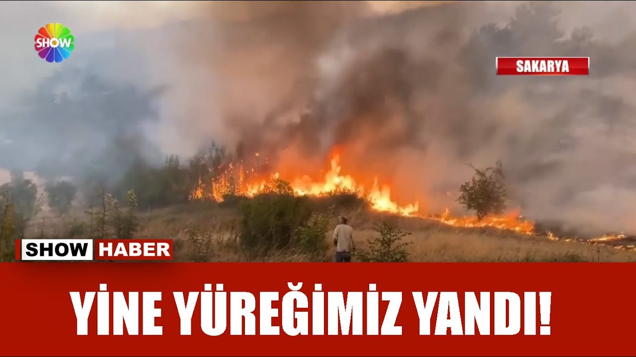 Sakarya'nın alevlerle imtihanı!