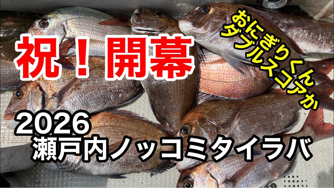 祝！開幕　2026瀬戸内ノッコミタイラバ