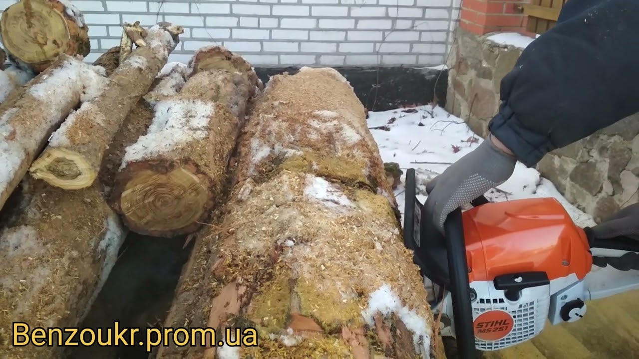 STIHL MS 251 vs акация