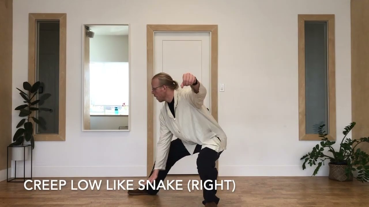 Yang Family Tai Chi 24 Form with Posture Names (front and rear views)