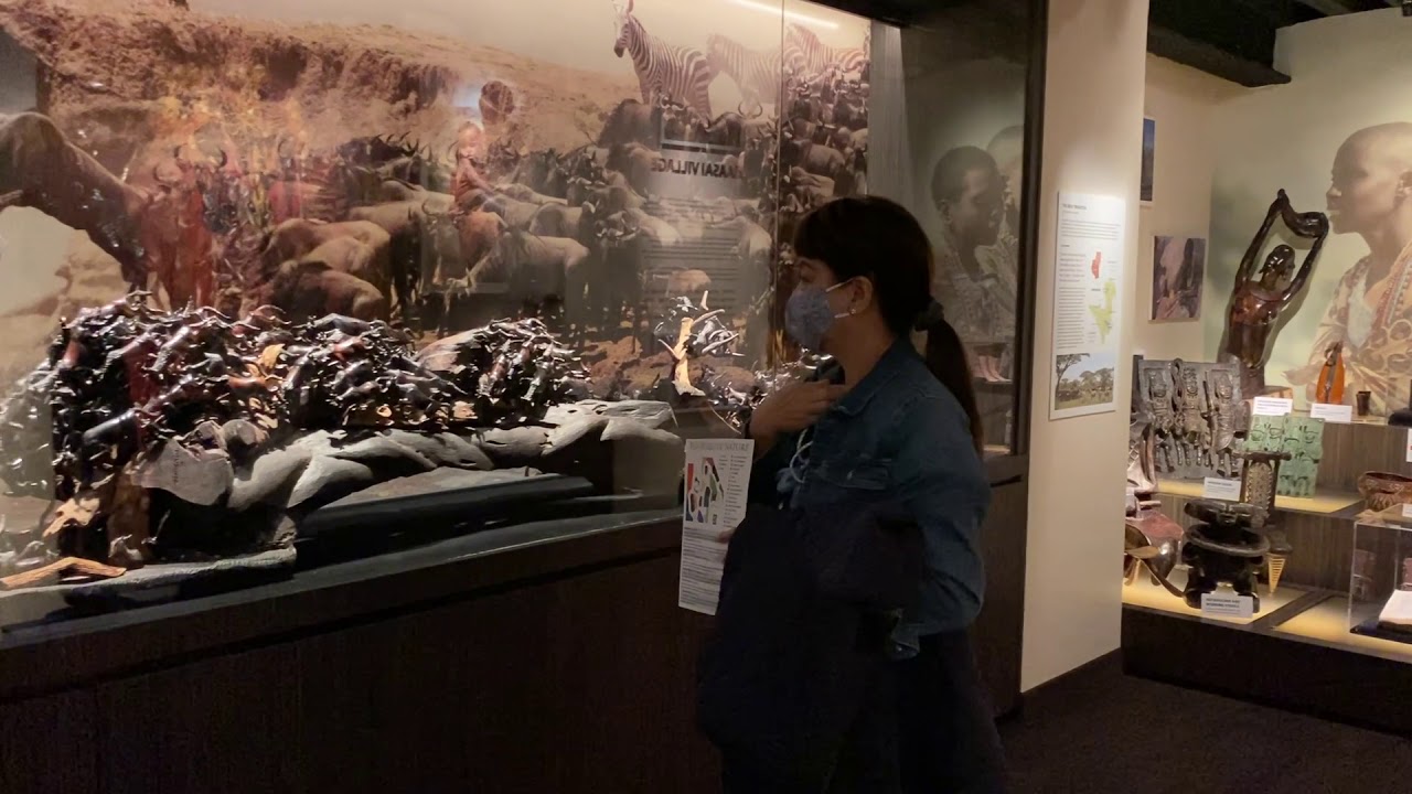 Annie Tan-Yee at the African gallery  Nov 8, 2020