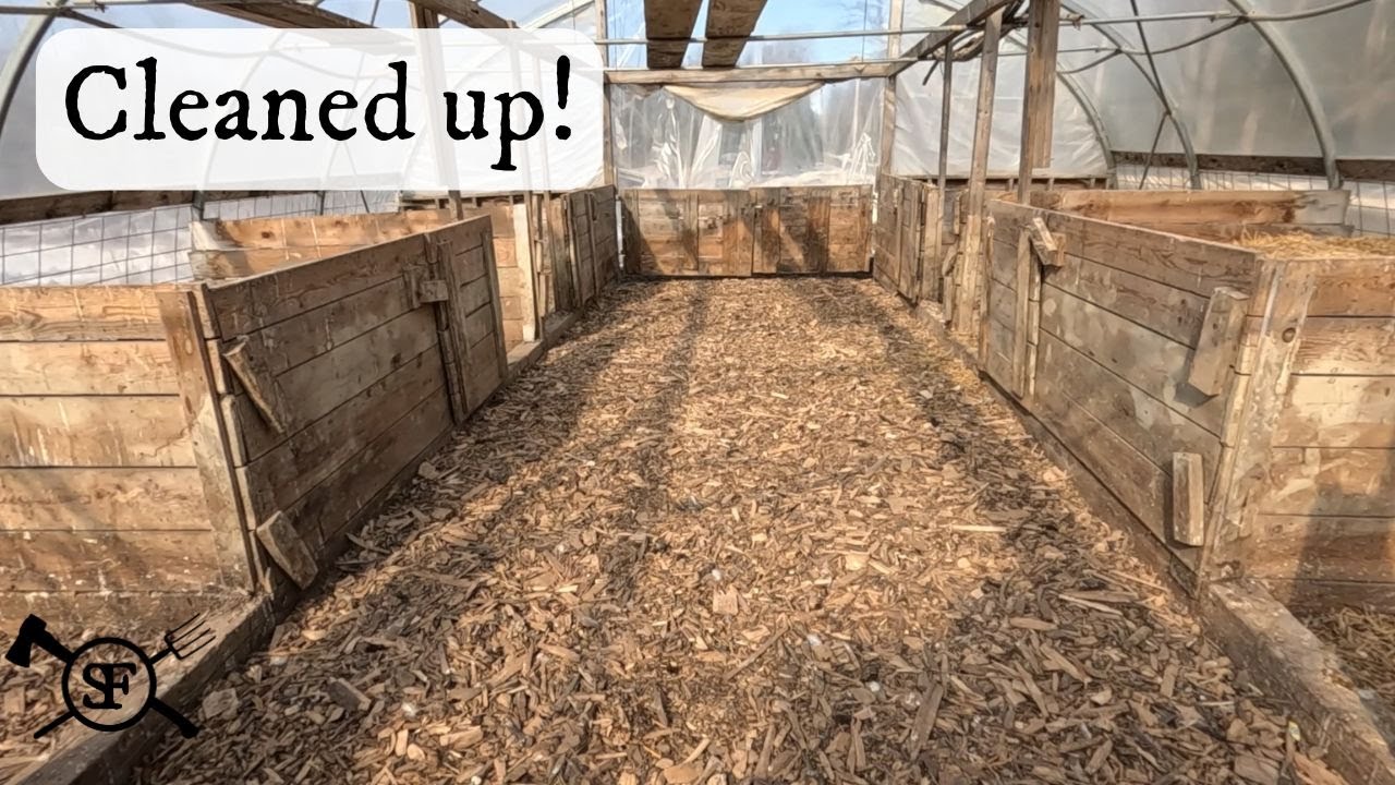 Hoop House Deep Bedding Follow Up!