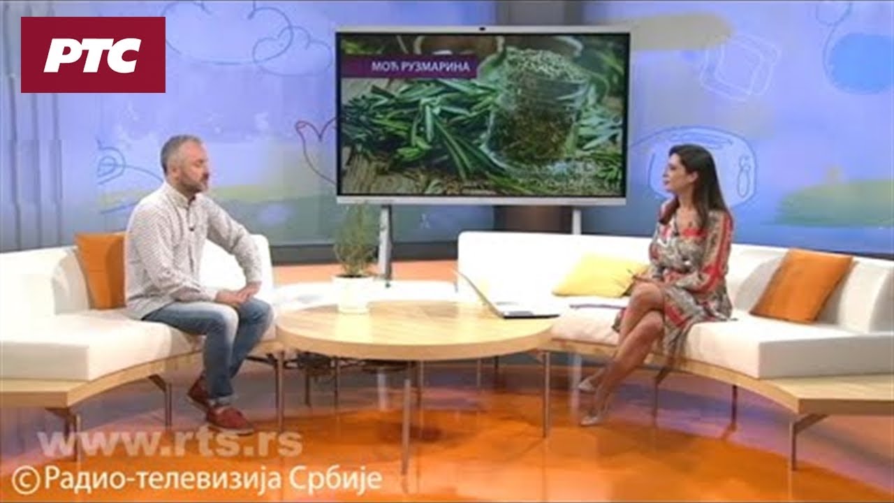 Ruzmarin – biljni eliksir mladosti, čuva naše pamćenje i otklanja bolove