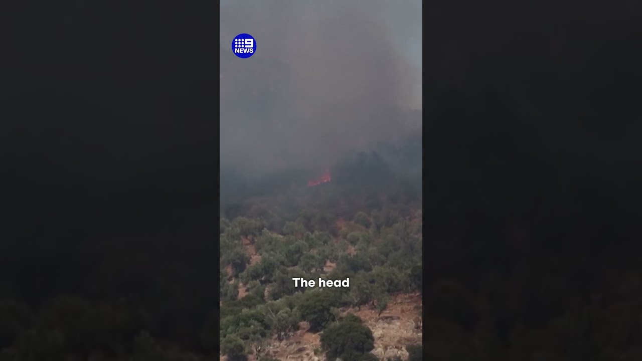 Two killed in Greece as European wildfires spread | 9 News Australia