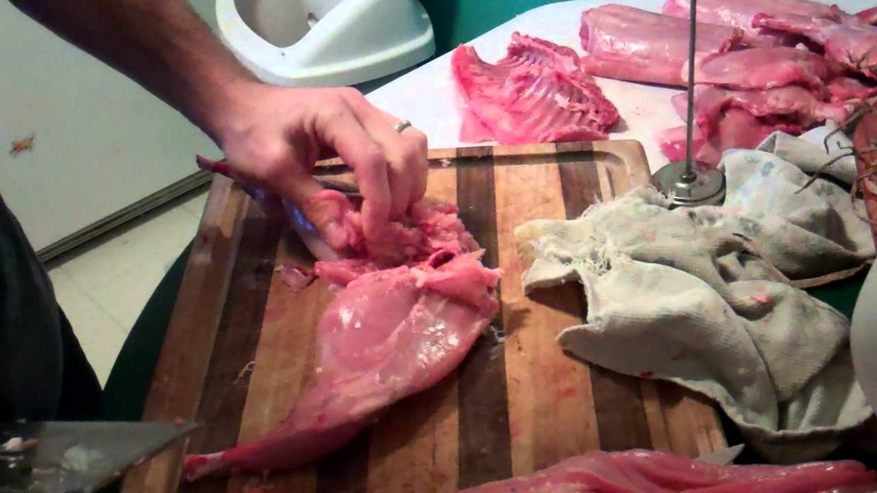 How to break down and butcher a rabbit.MP4