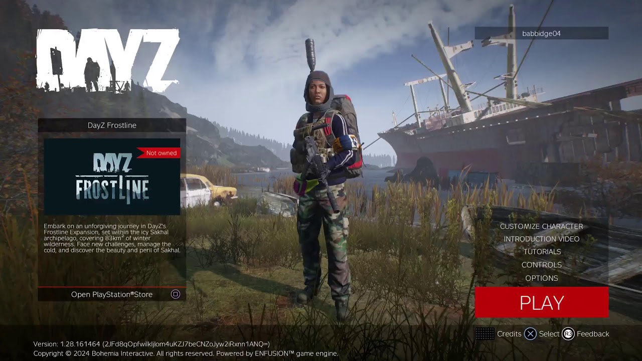 DayZ