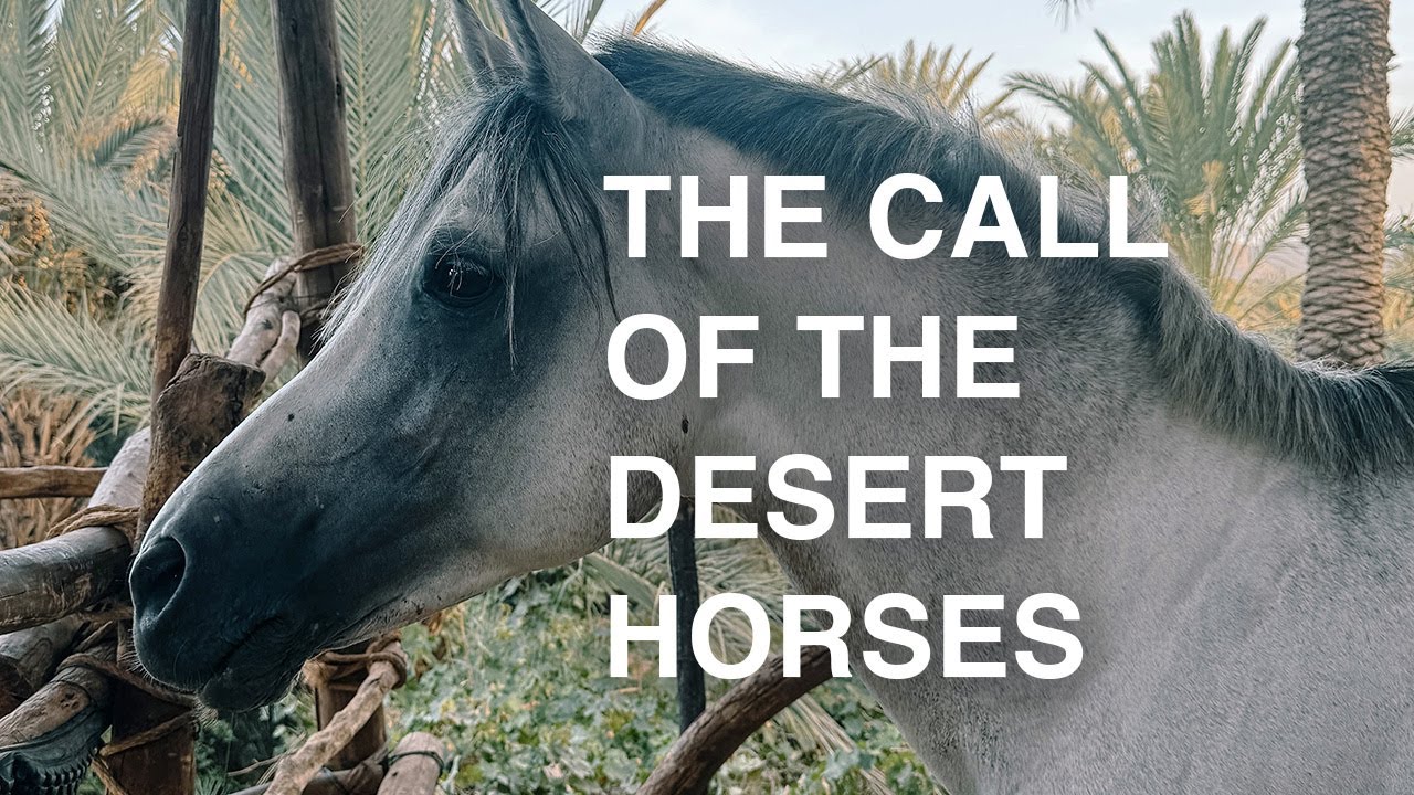 Following the Horse Path Through Morocco