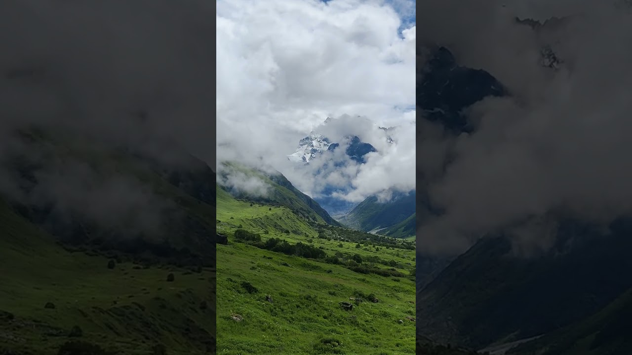 Hike to Valley of Flowers. bloom and buzz. Mount Rataban #valleyofflowers