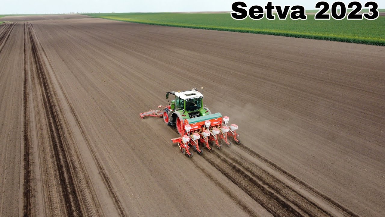 Setva Suncokreta 2023! Fendt 313 Vario Profi Plus & Gaspardo Magica