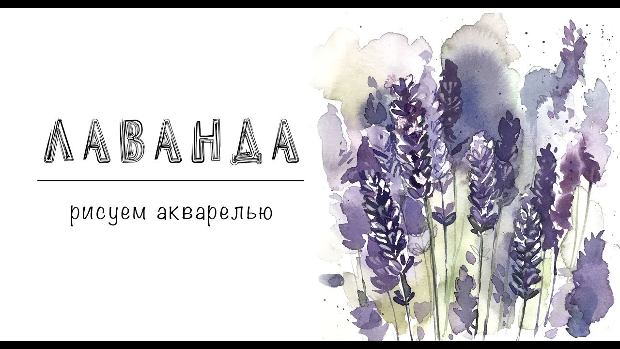 ЛАВАНДА / рисуем акварелью