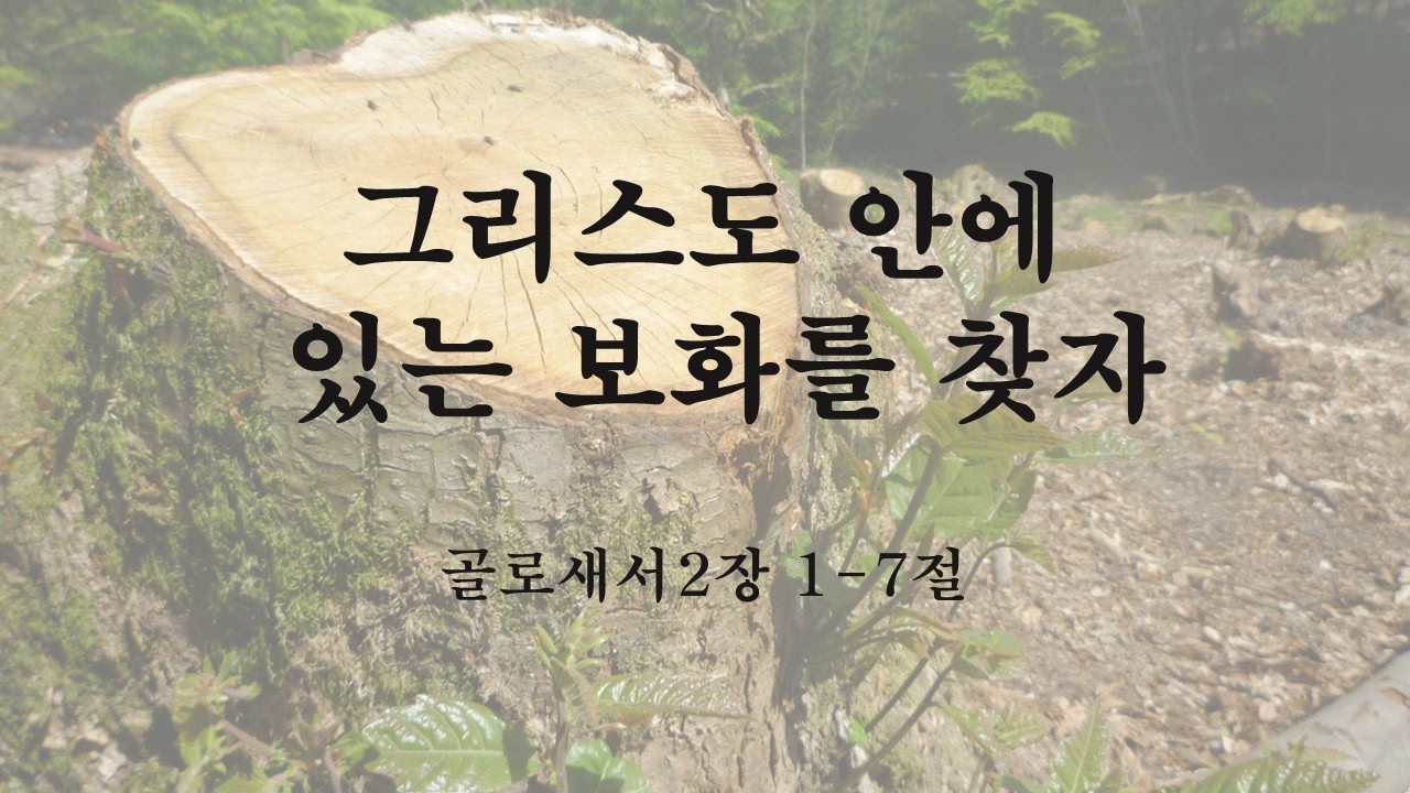 골로새서2장1-7절 