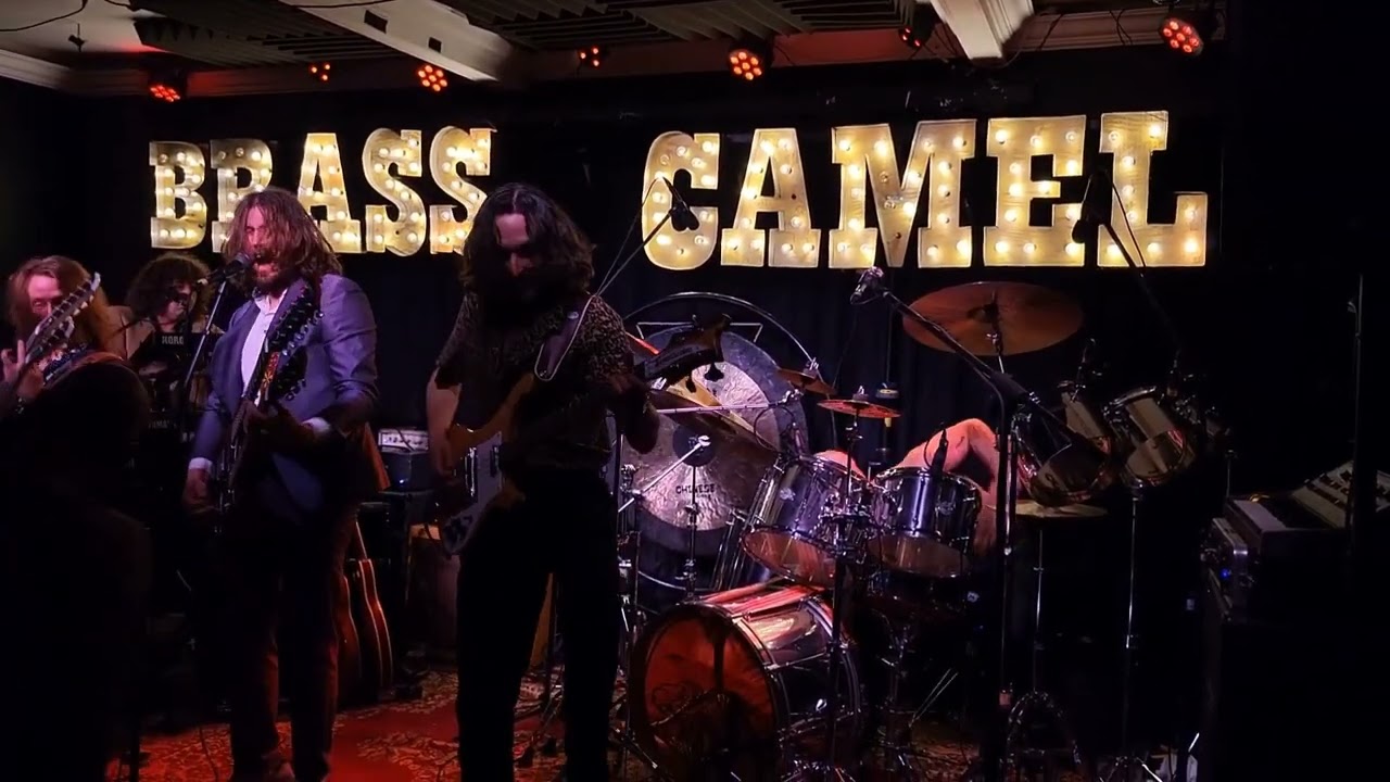 BRASS CAMEL, Live at Meteor, May 3, 2025