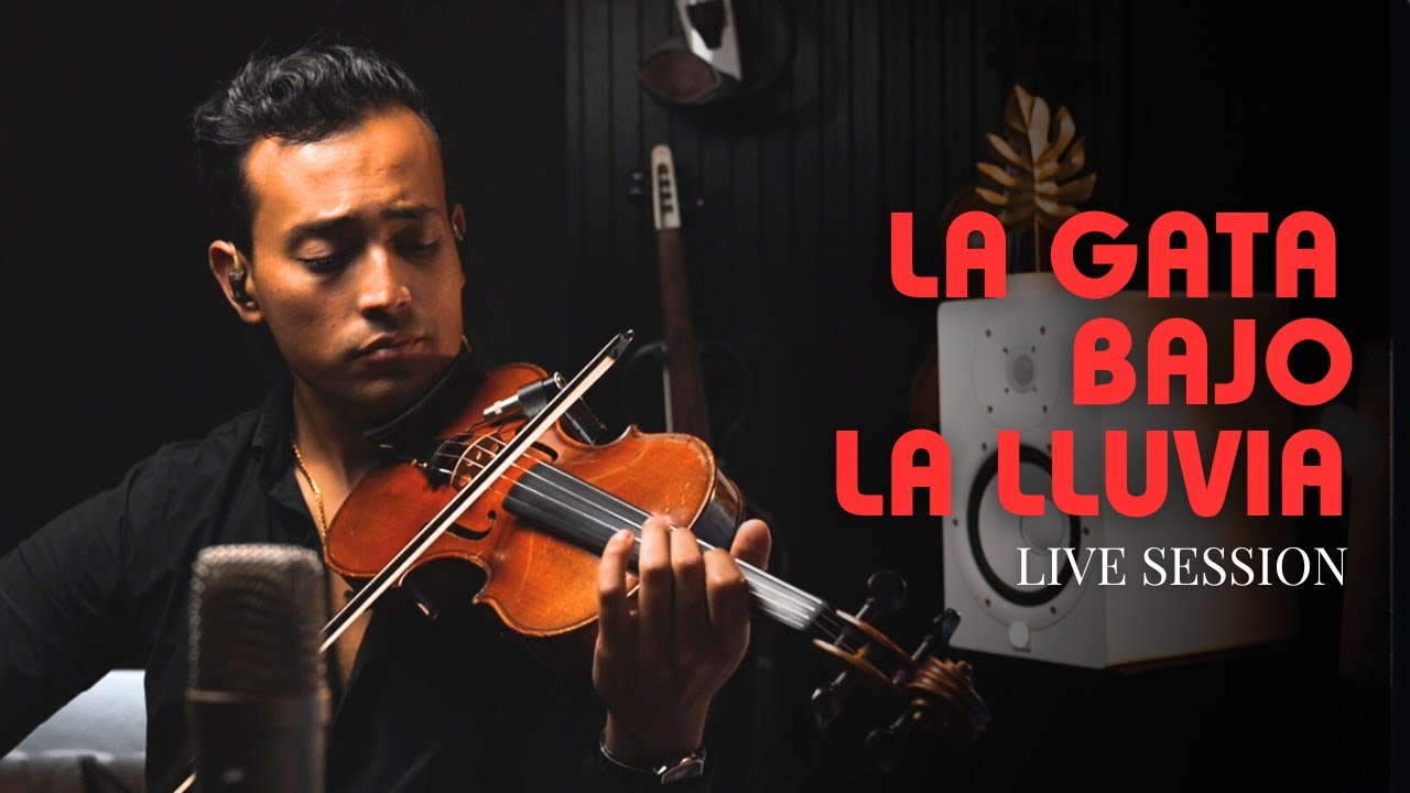 LA GATA BAJO LA LLUVIA / ROCÍO DÚRCAL  - Live Session