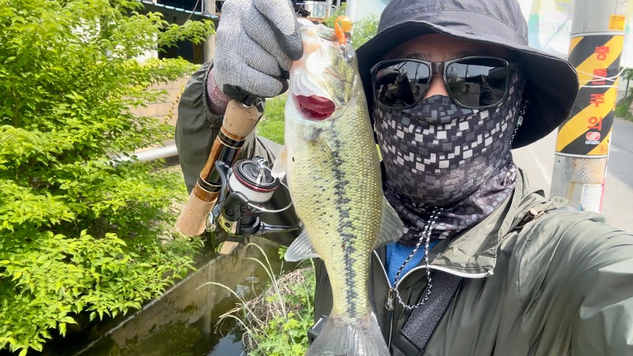 Solo bass fishing in the middle of down town of Gyeongju Korea 도심 수로에서 배스를 잡다!!!