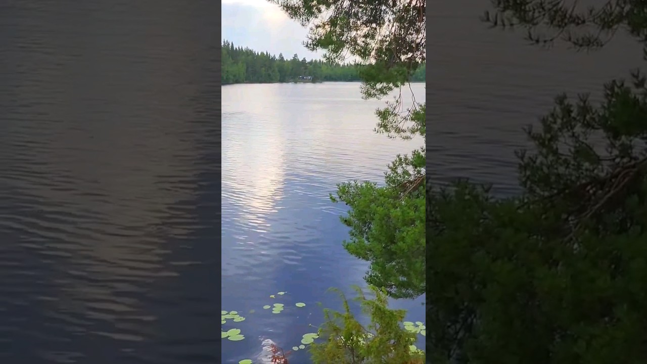 Central Finland #finland #desitravels #shortsviral