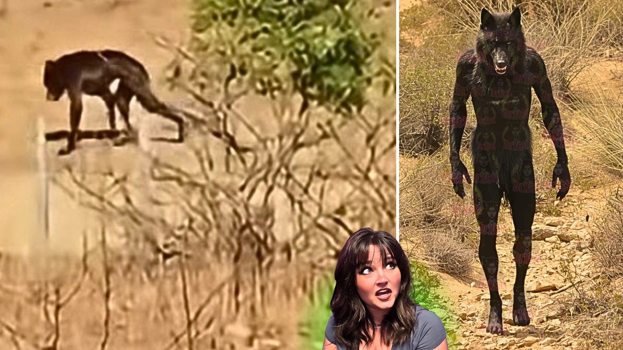 Жуткие, загадочные и странные криптиды, запечатленные на камеру в 2026 году.