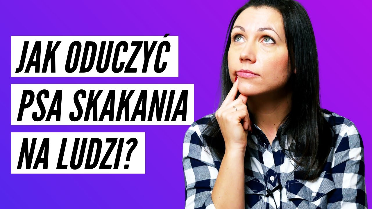 Jak oduczyć psa SKAKANIA na ludzi?