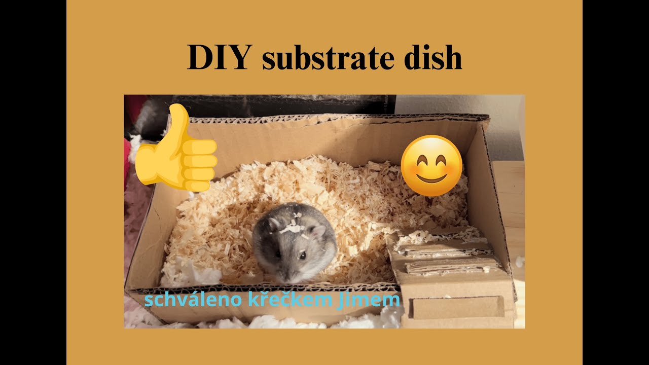 DIY substrate dish/ dig box, Křeček v kapse