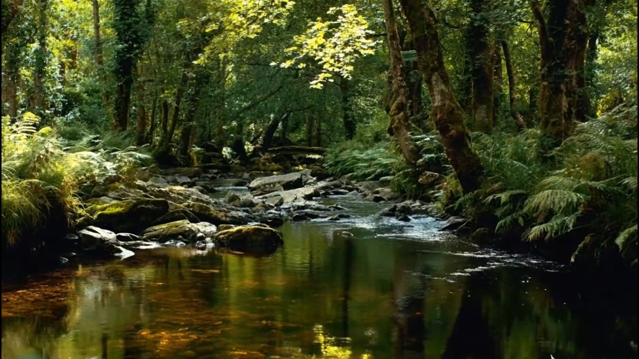 Relaxing Forest Stream Sounds And Birdsong 🌿Natural White Noise