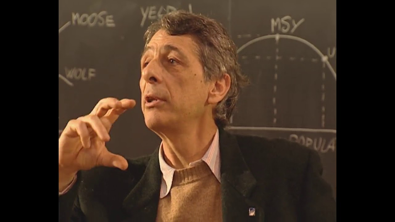 Il mistero del lupo