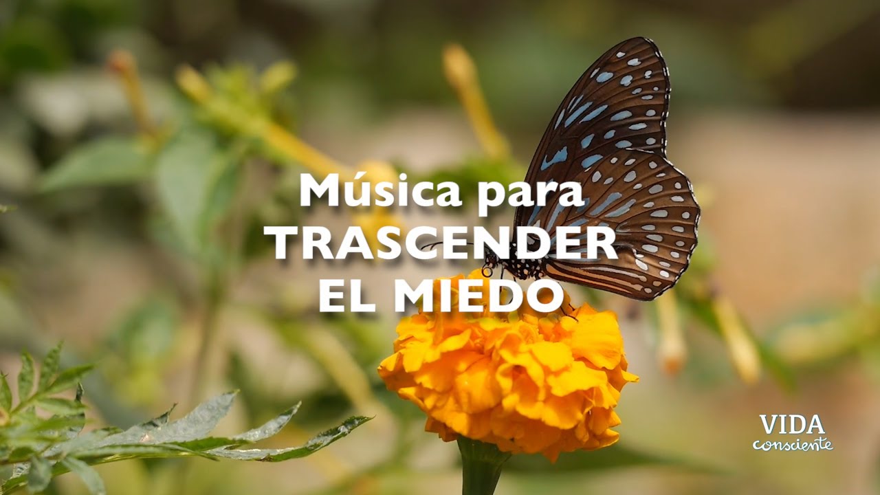 Trascender el miedo en AMOR | Vibraci&oacute;n para transformar el miedo | Frecuencia sanadora