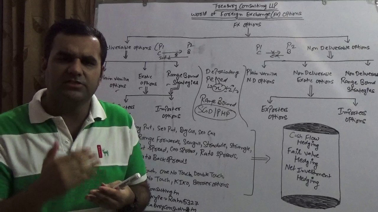 World of Foreign Exchange (FX) Options