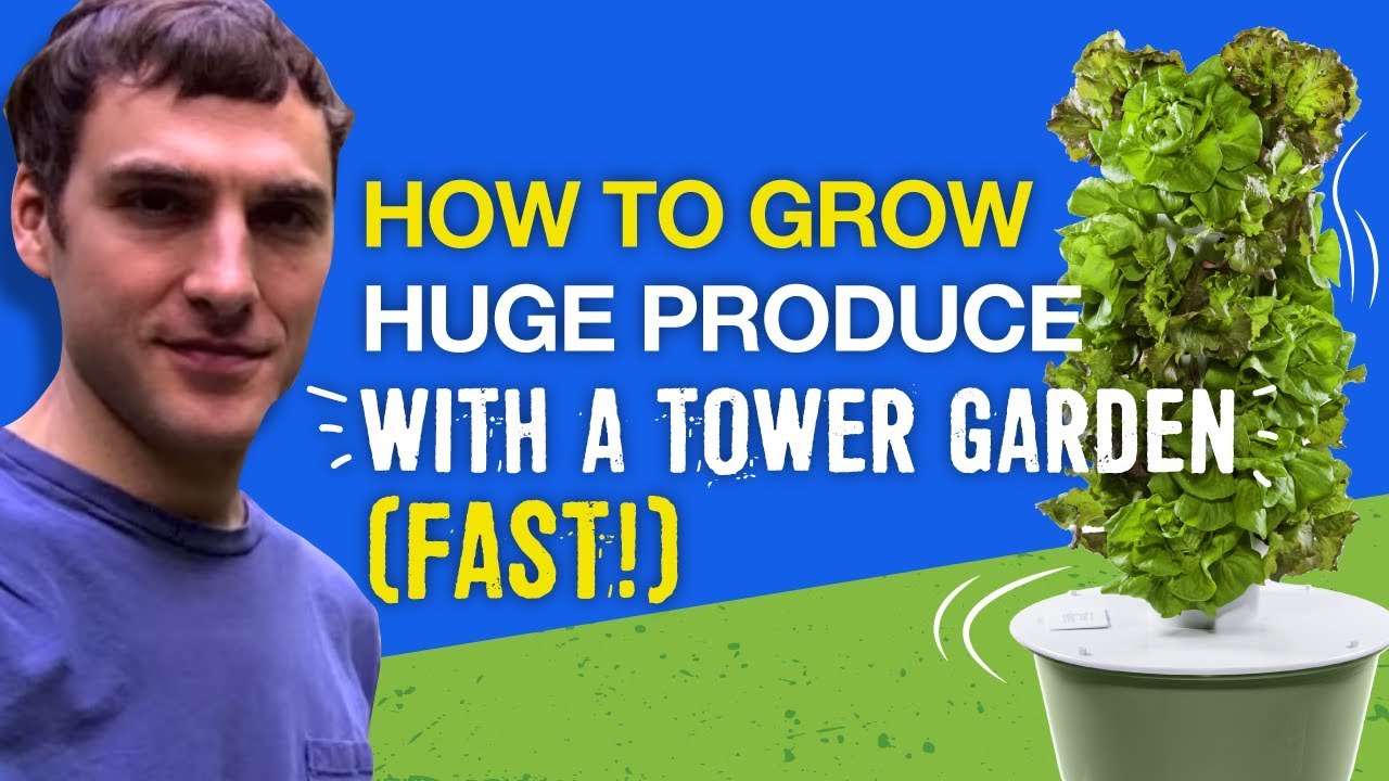 How to Grow HUGE Produce With a Tower Garden (FAST!)