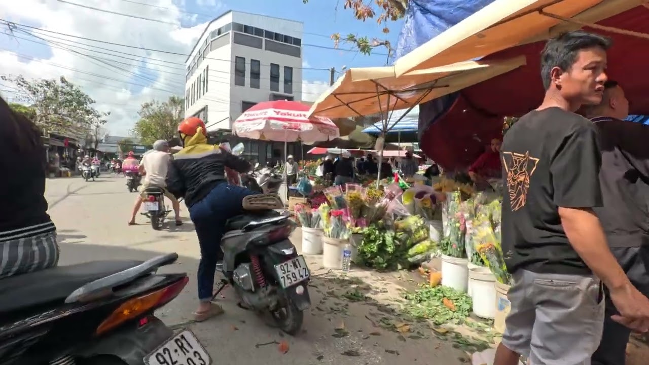 Hoa xuân Bính Ngọ 02-2026 017569