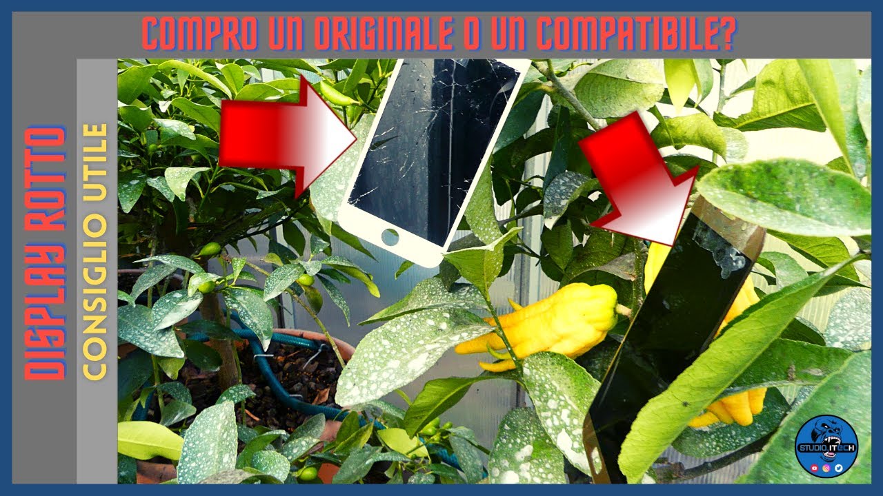 SCHERMO SMARTPHONE ROTTO - COMPRO UN DISPLAY COMPATIBILE O ORIGINALE ?