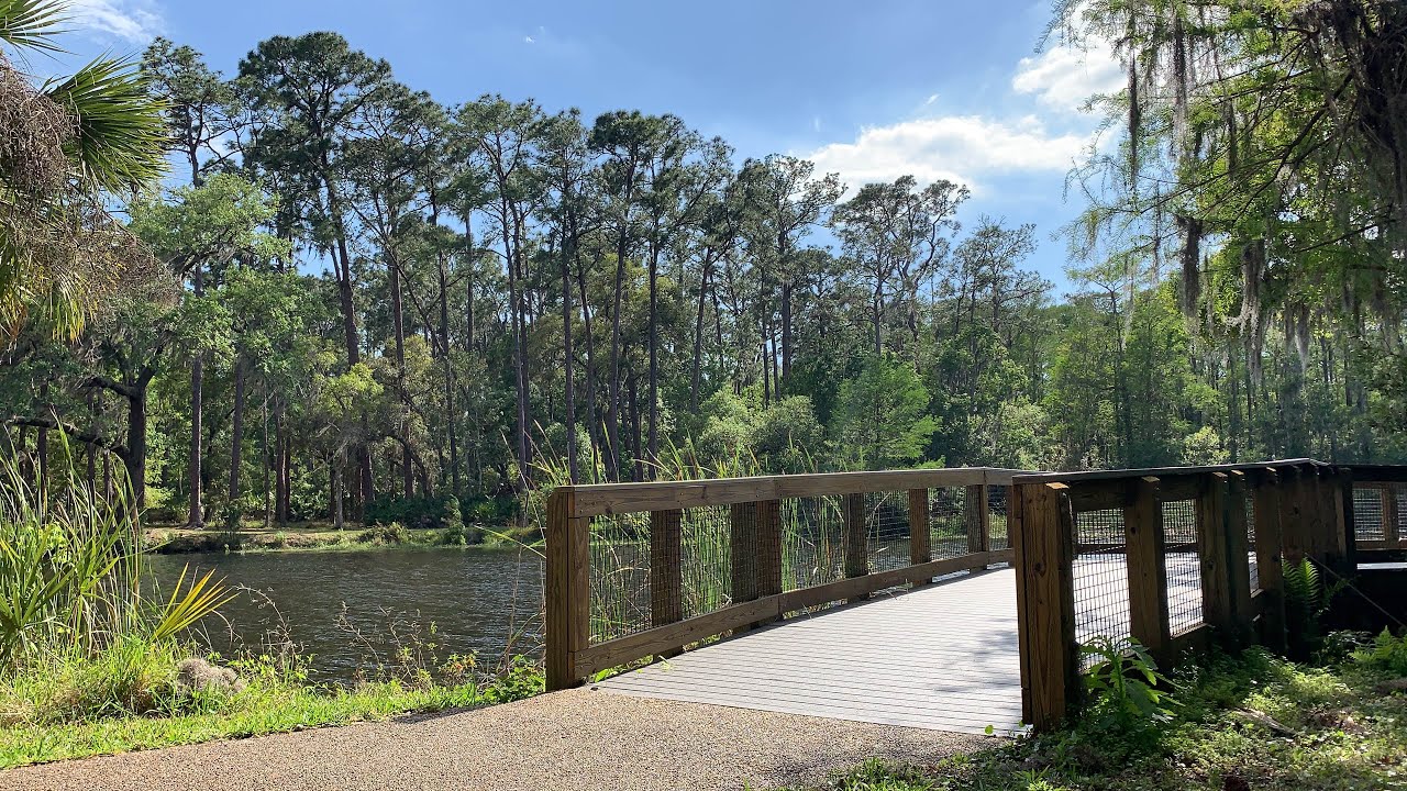 Best Florida Wildlife & Nature Hike I've Ever Taken! Deer & Alligator Encounter at Lake Tarpon