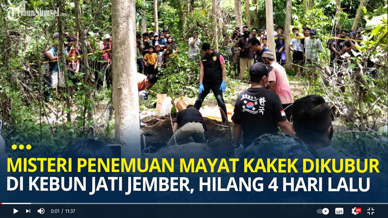 Misteri Penemuan Mayat Kakek Dikubur di Kebun Jati Jember, Pergi dari Rumah 4 Hari Lalu