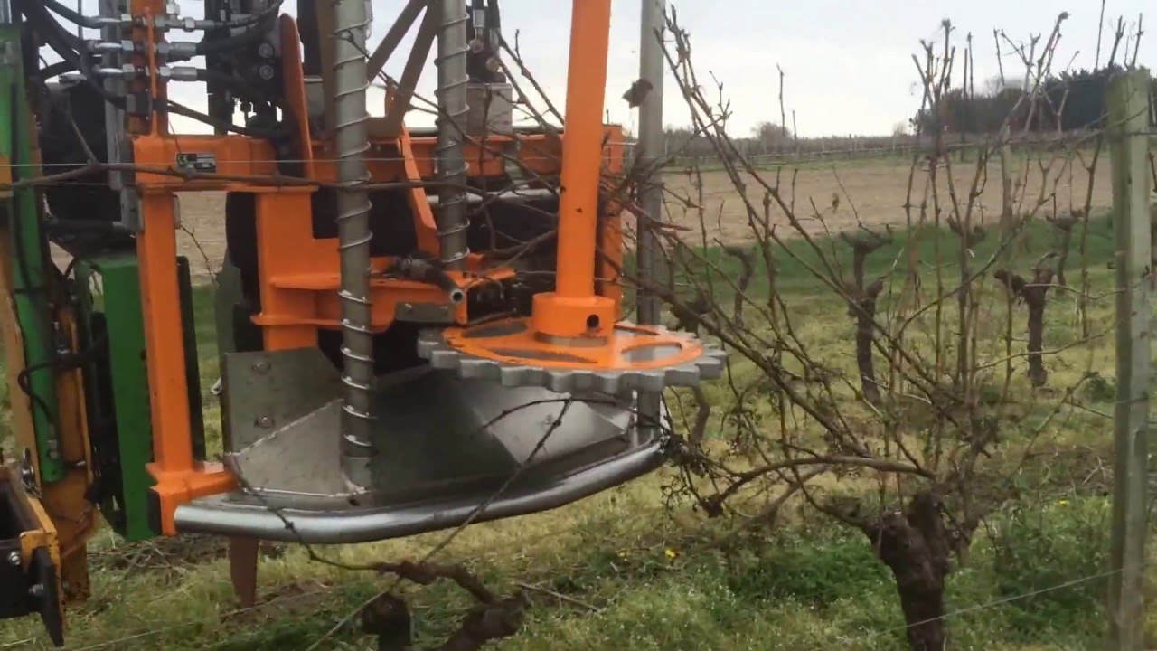 VSE 430 PROVITIS dans du Merlot avec Equipagri 17