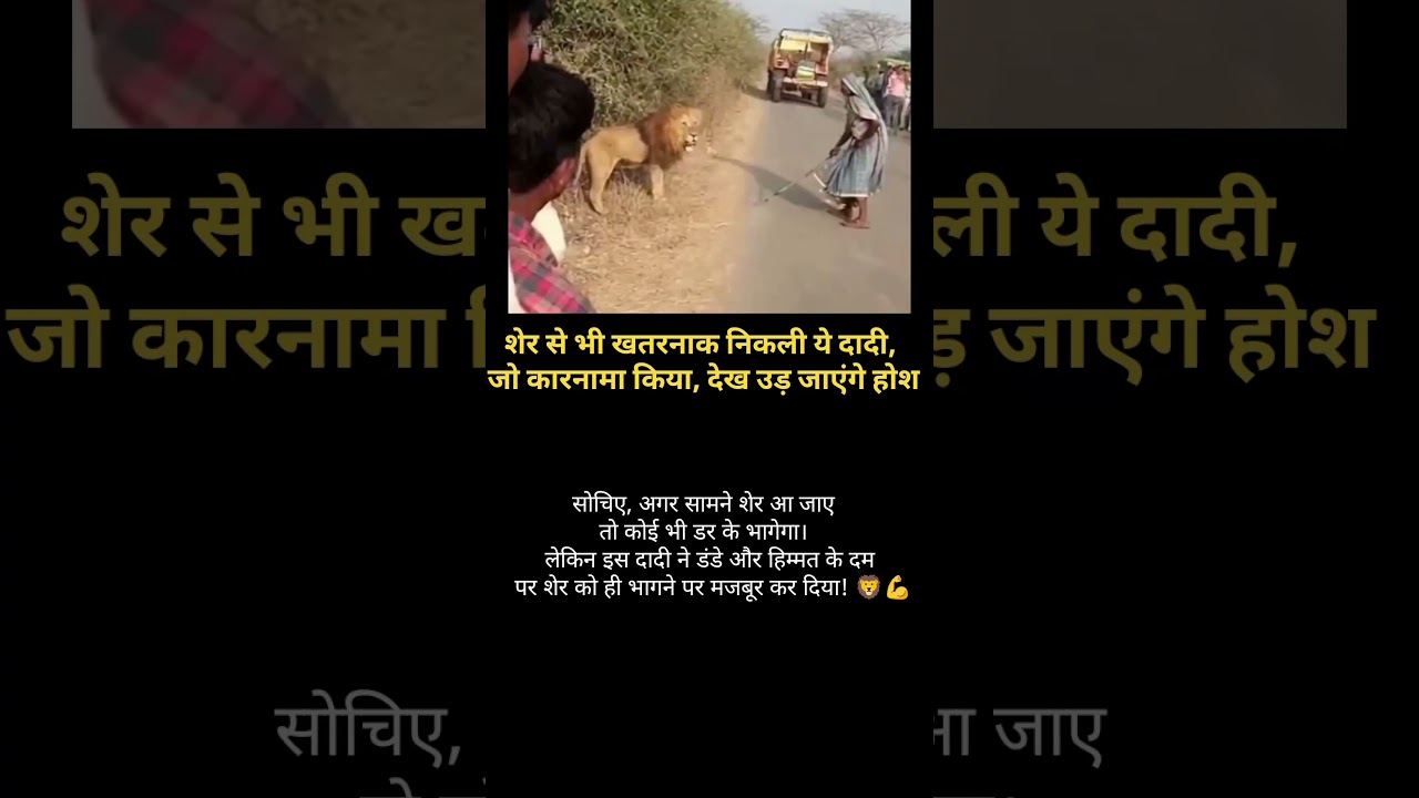 Salute to This Grandma's Courage! Scared Away the Lion 🔥 |
