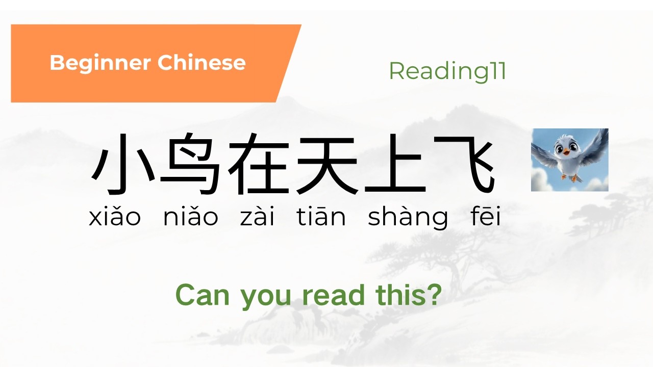Beginner Chinese Reading Practice – Reading 11 | Using Day1–13Characters