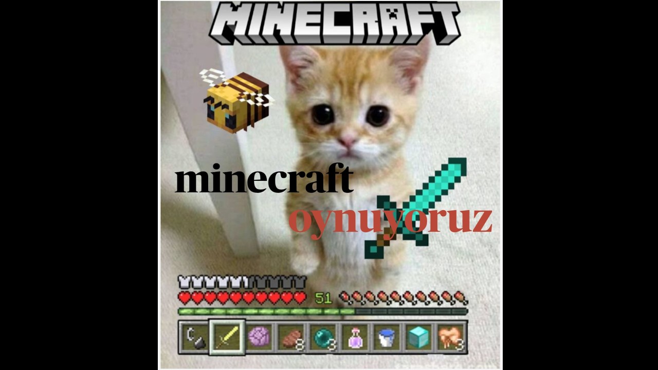 SELAM minecraft oynuyoruz abone olmayı untmayın