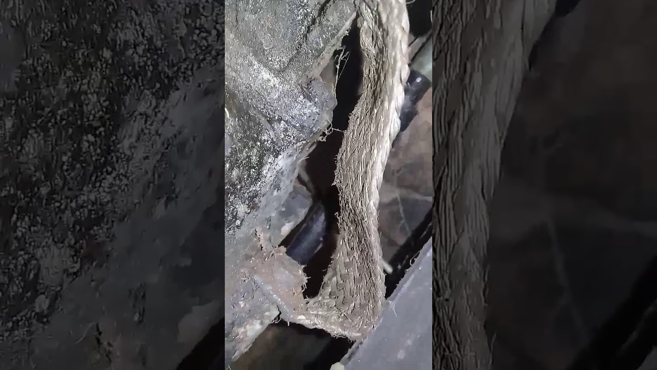 CEBOLINHA DE RÉ DO FUSCA....ACHEI!!!!!!