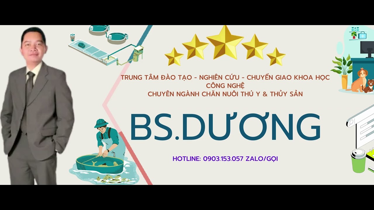 Cách tính liều truyền liên tục CRI trong thú y kiến thức cực kỳ quan trọng trong hồi sức và gây mê